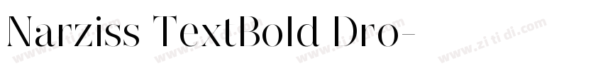 Narziss TextBold Dro字体转换
